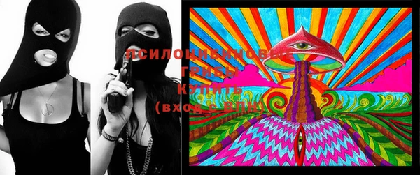 шишки Верхнеуральск