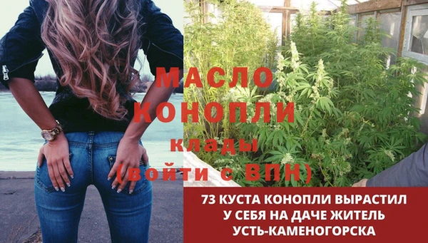 шишки Верхнеуральск