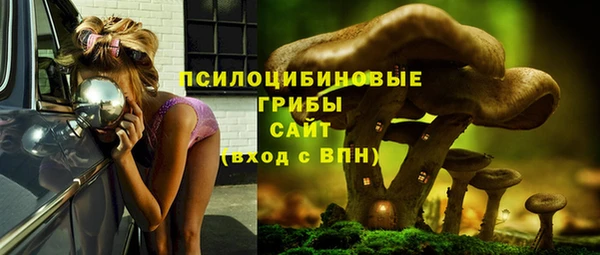 шишки Верхнеуральск
