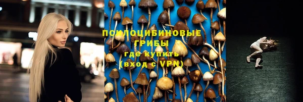 каннабис Верея